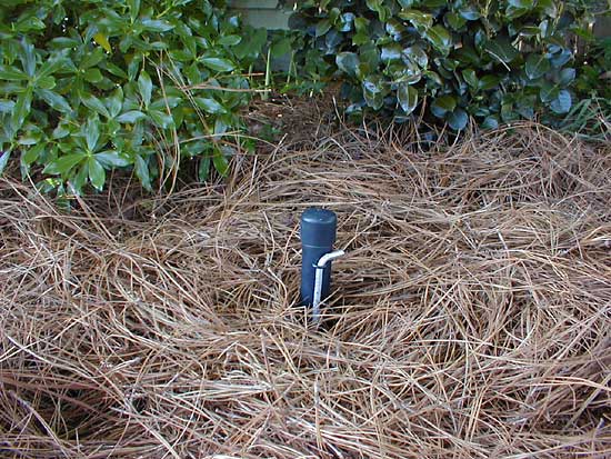 Mulch covered VOLE CONTROL Bait Station