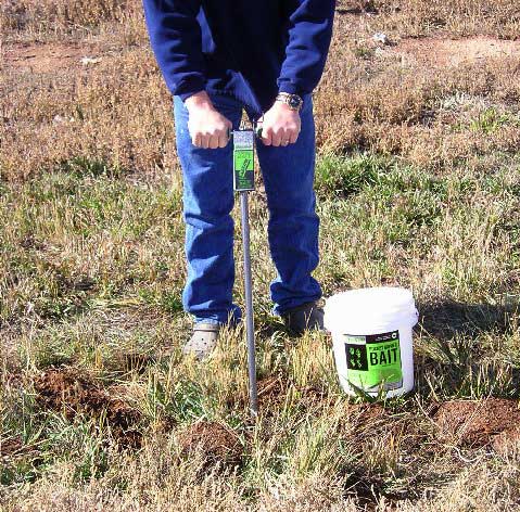 Kaput-D Gopher Bait Applicator being used to probe for tunnels and inject Kaput-D Gopher Bait.