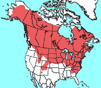 Distribution Map  of the Meadow Vole