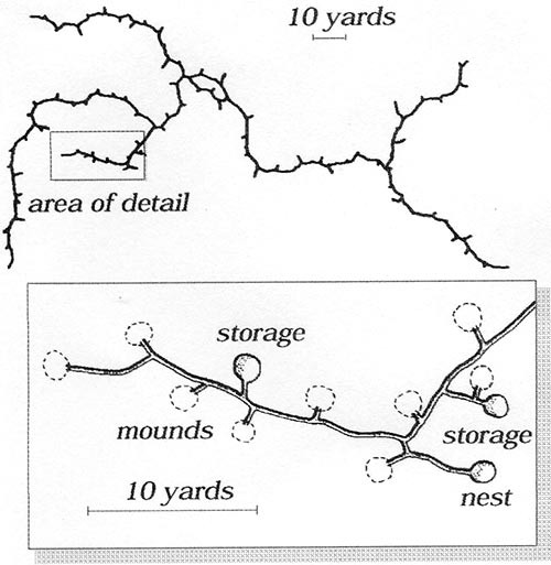 Gopher System Map