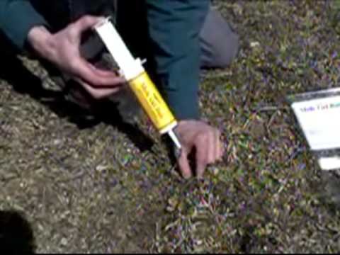 Play Video - Kaput Mole Bait Syringe in Use