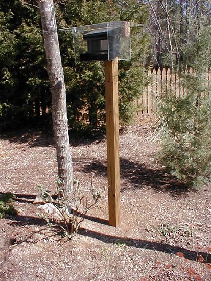 Voles Under Birdfeeder