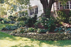 landscaped back yard